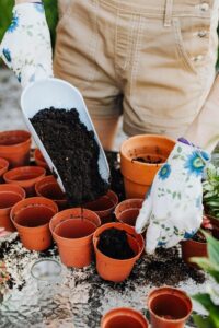 Tips for Creating a Sustainable Home Garden on a Budget
